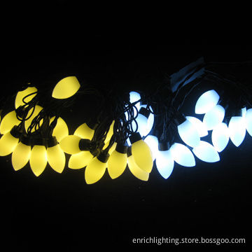 White and Warm White LED String Lights with 5 Meters/Set